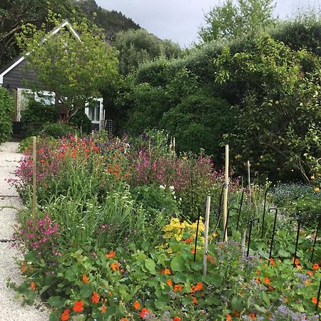 Hahei Kereru Cottage Екстериор снимка