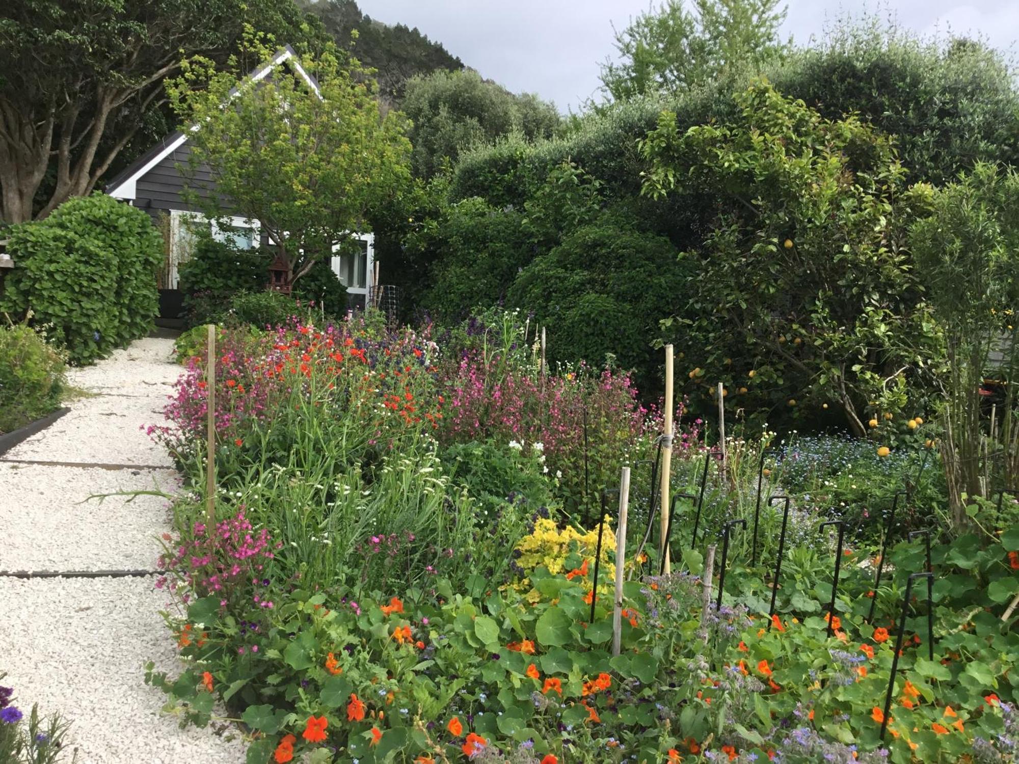 Hahei Kereru Cottage Екстериор снимка